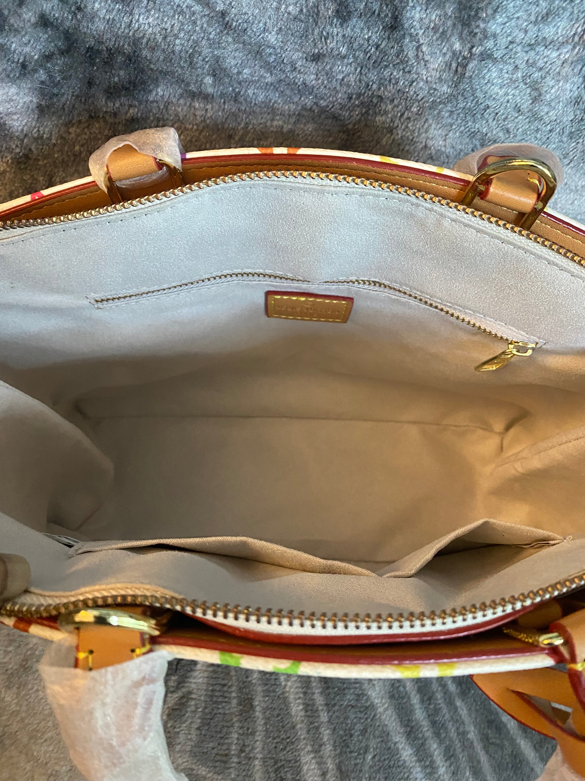 LV Multicolor Handbag