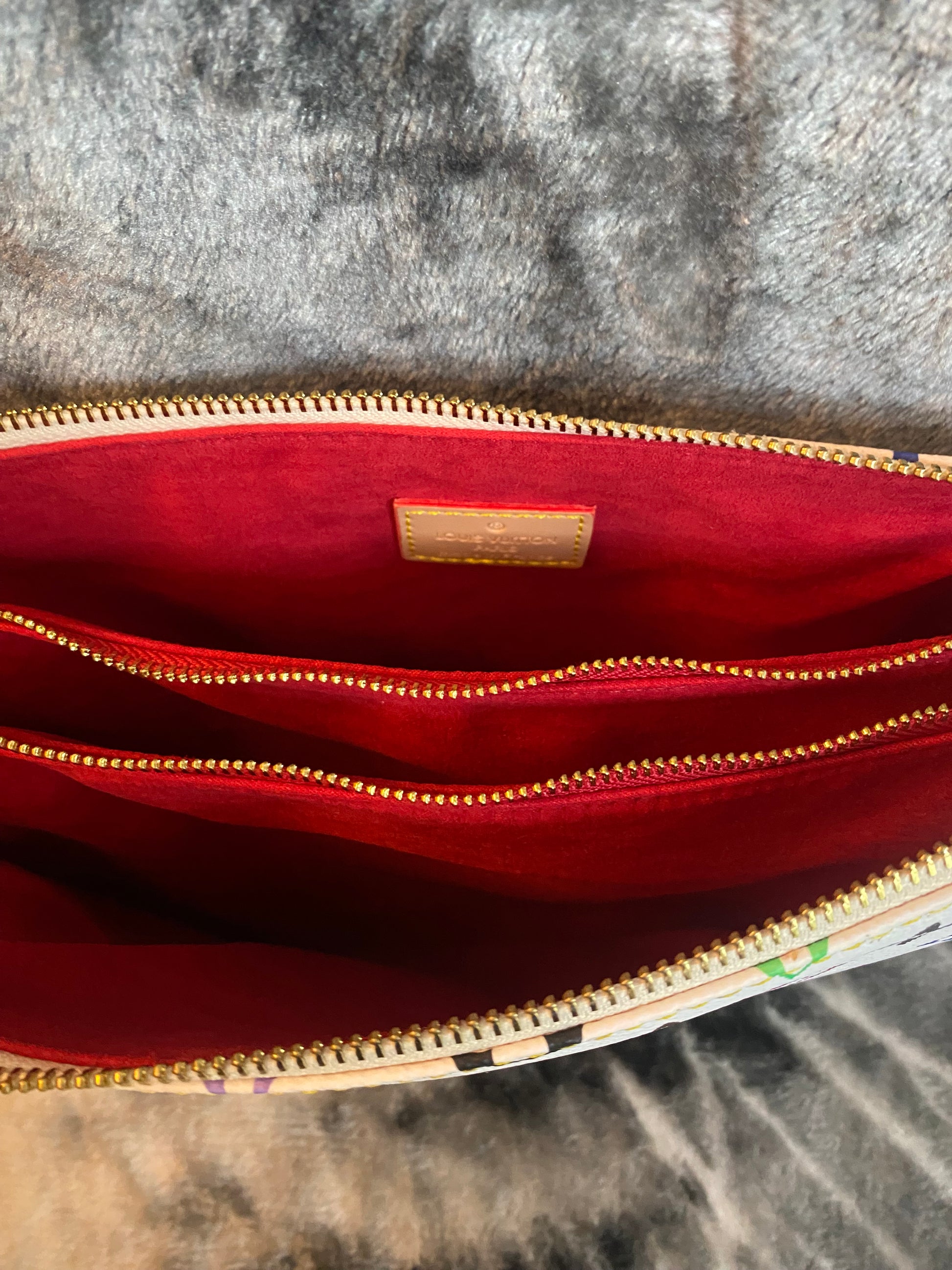 LV Multicolor Coussin