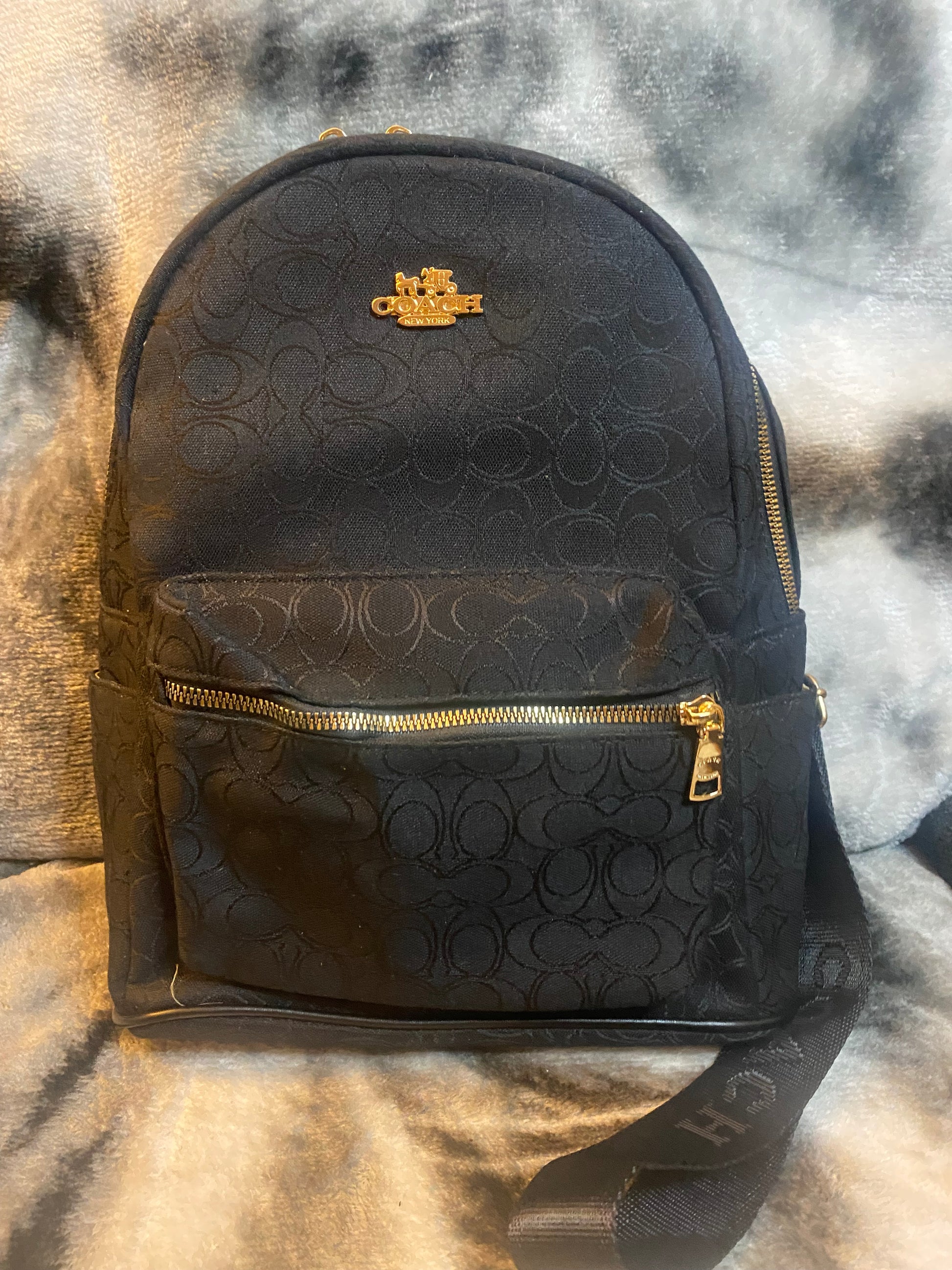 Coach BackPacks